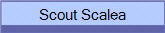 Scout Scalea